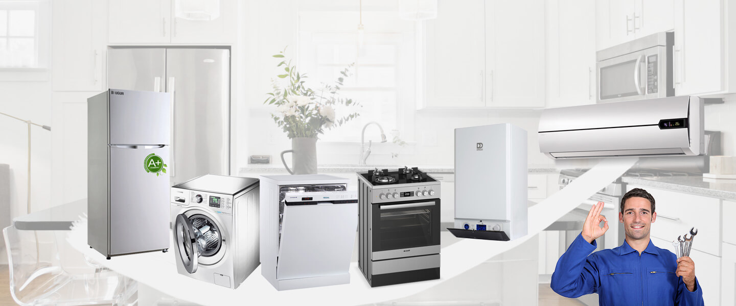 Ardanuç Electrolux Servisi